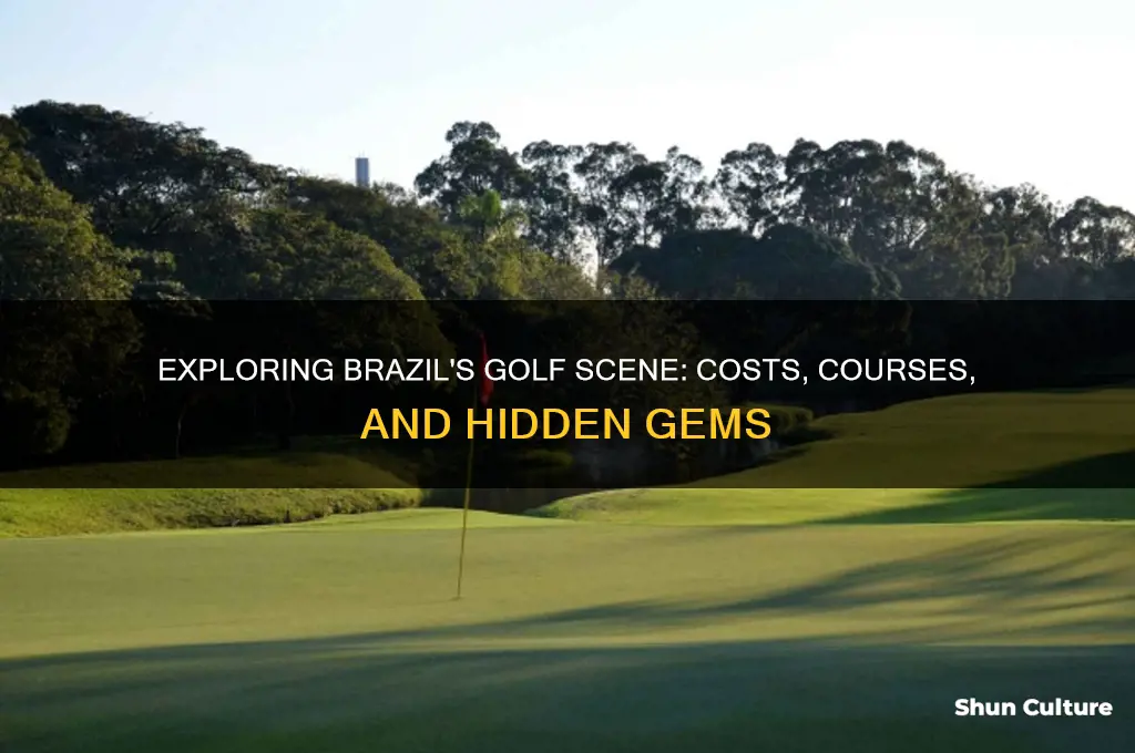 how much to golf in brazil