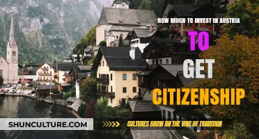 Unlocking Austrian Citizenship: The Investment Guide