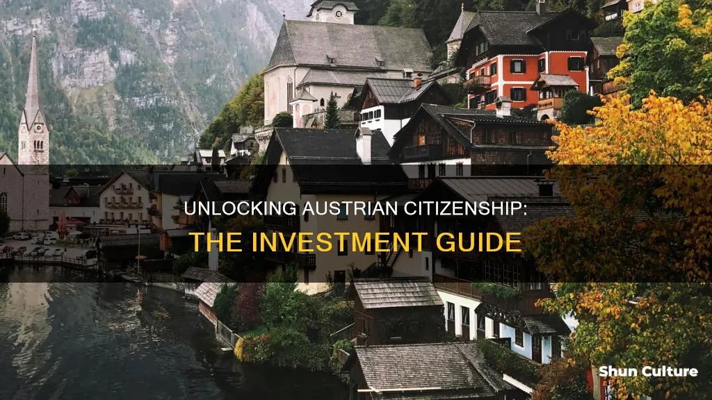 how much to invest in austria to get citizenship