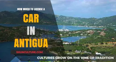 Licensing a Car in Antigua: Costs and Requirements Explained