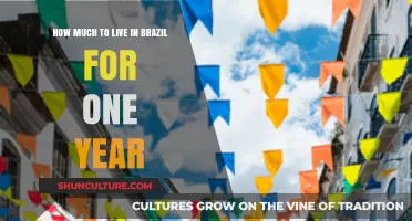 Cost of Living in Brazil: One Year Budget Breakdown
