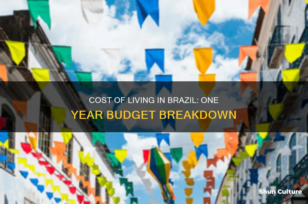 how much to live in brazil for one year