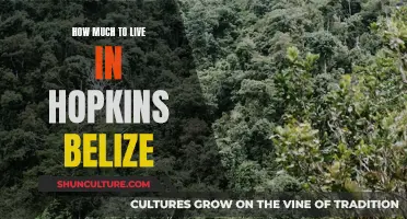 The Cost of Paradise: Uncovering the True Expense of Living in Hopkins, Belize