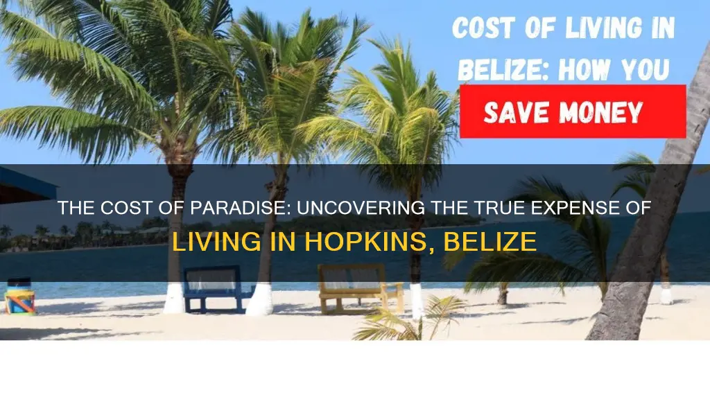 how much to live in hopkins belize