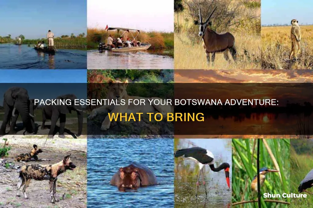 how much to pack for a trip to botswana