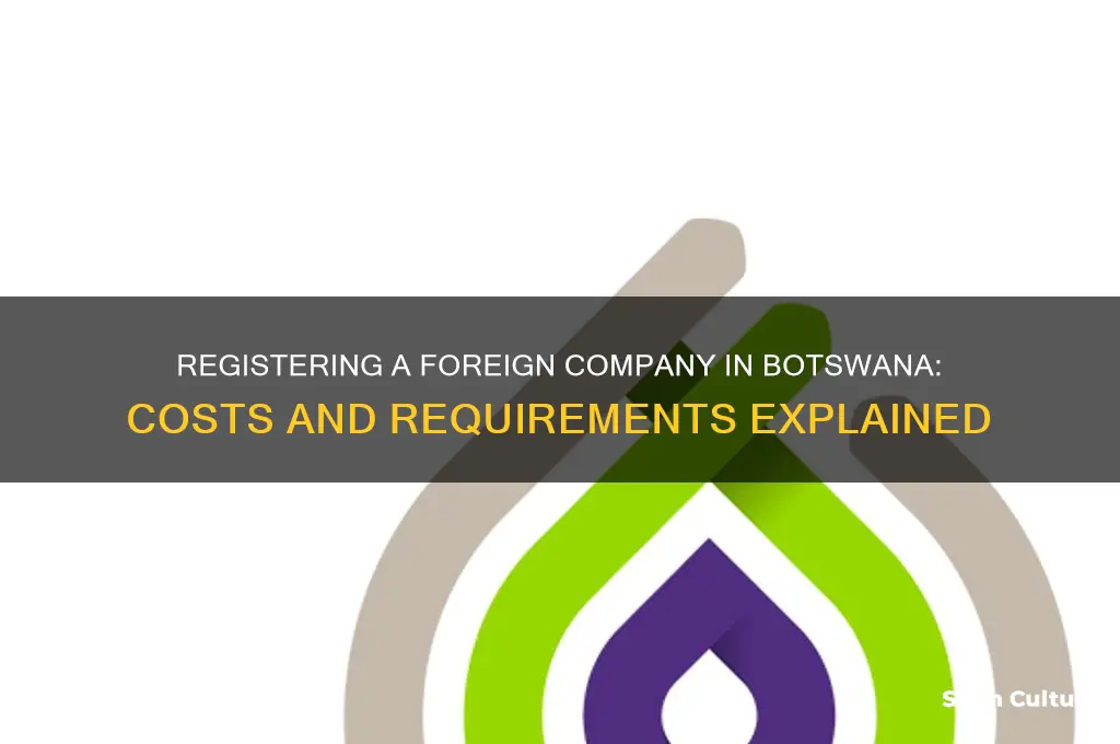 how much to register a foreign company in botswana