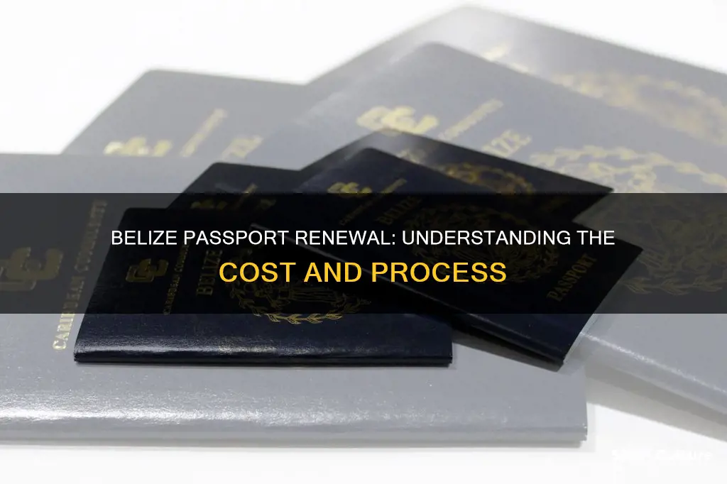 how much to renew passport in belize