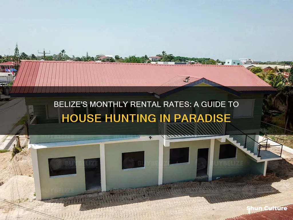 how much to rent a house in belize a month