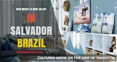 Renting in Salvador, Brazil: Average Apartment Costs Revealed