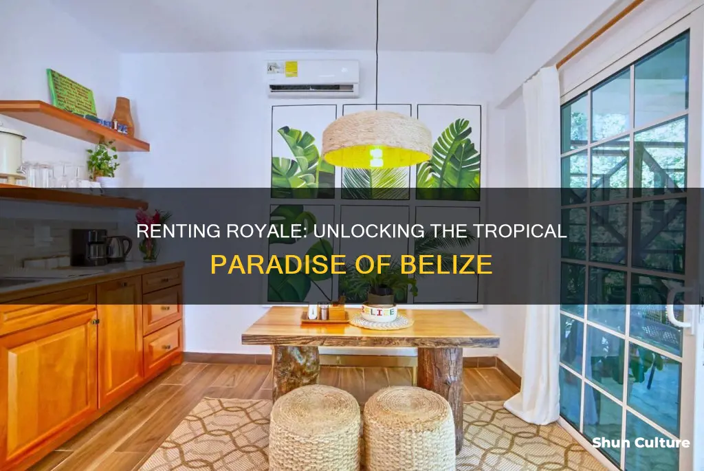 how much to rent royale belize