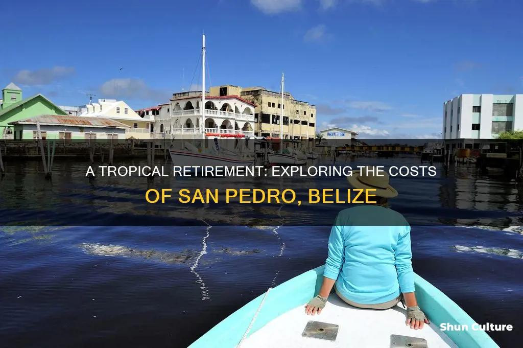 how much to retire in san pedro belize