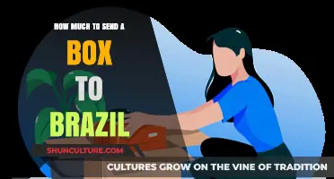 Shipping to Brazil: Cost Guide for Sending a Box Abroad