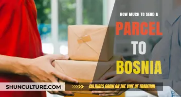 Cost-Effective Parcel Shipping to Bosnia: A Comprehensive Guide