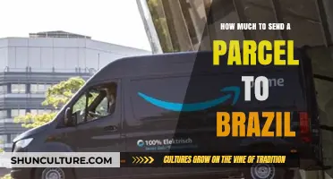 Cost-Effective Parcel Shipping to Brazil: A Comprehensive Guide