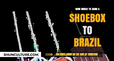 Shipping a Shoebox to Brazil: Cost Breakdown and Tips