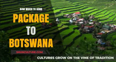 Shipping to Botswana: Cost-Effective Package Delivery Options Explained