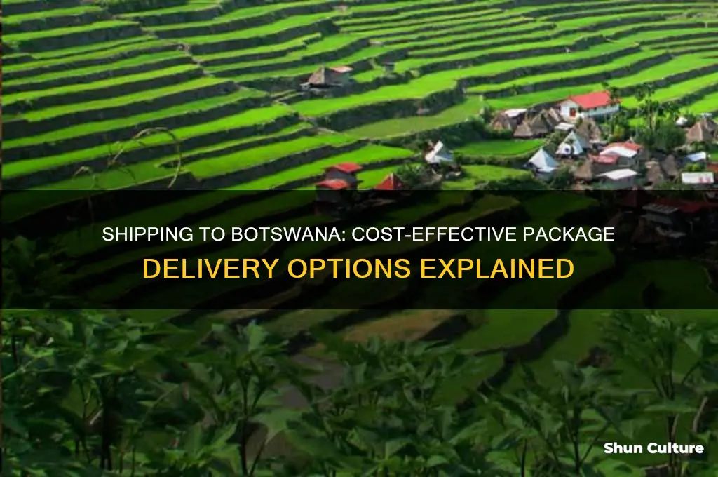 how much to send package to botswana