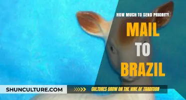 Priority Mail to Brazil: Cost, Delivery Time, and Tips