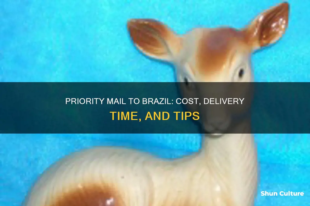 how much to send priority mail to brazil