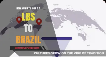 Shipping 3.3 lbs to Brazil: Cost Breakdown and Tips