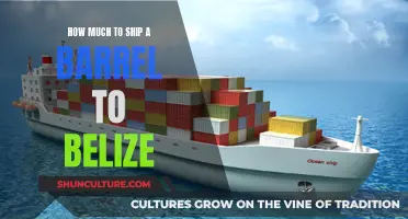 Shipping a Barrel to Belize: Costs and Logistics