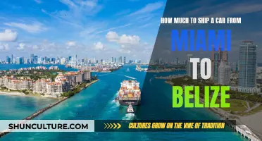 Shipping a Car to Belize: Miami to Belize City Transport Options and Costs