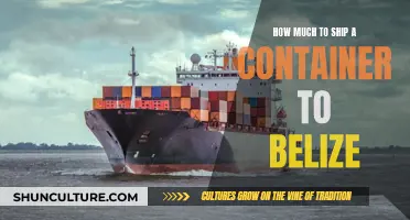 Shipping Container Costs to Belize: A Comprehensive Guide