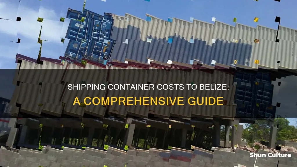 how much to ship a container to belize