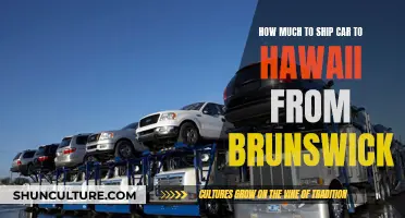 Shipping Cars: Brunswick to Hawaii