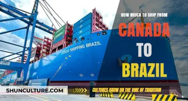 Shipping Costs from Canada to Brazil: A Comprehensive Price Guide
