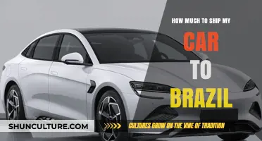 Shipping Your Car to Brazil: Costs, Tips, and What to Expect