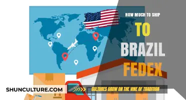 Shipping to Brazil with FedEx: Costs, Tips, and What to Expect