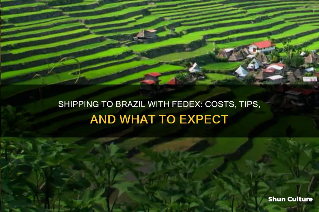 how much to ship to brazil fedex