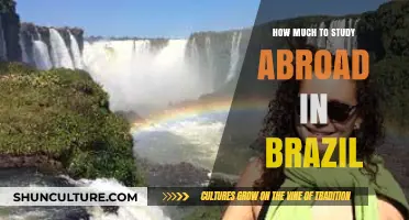 Study Abroad in Brazil: Costs, Budgeting, and Financial Tips