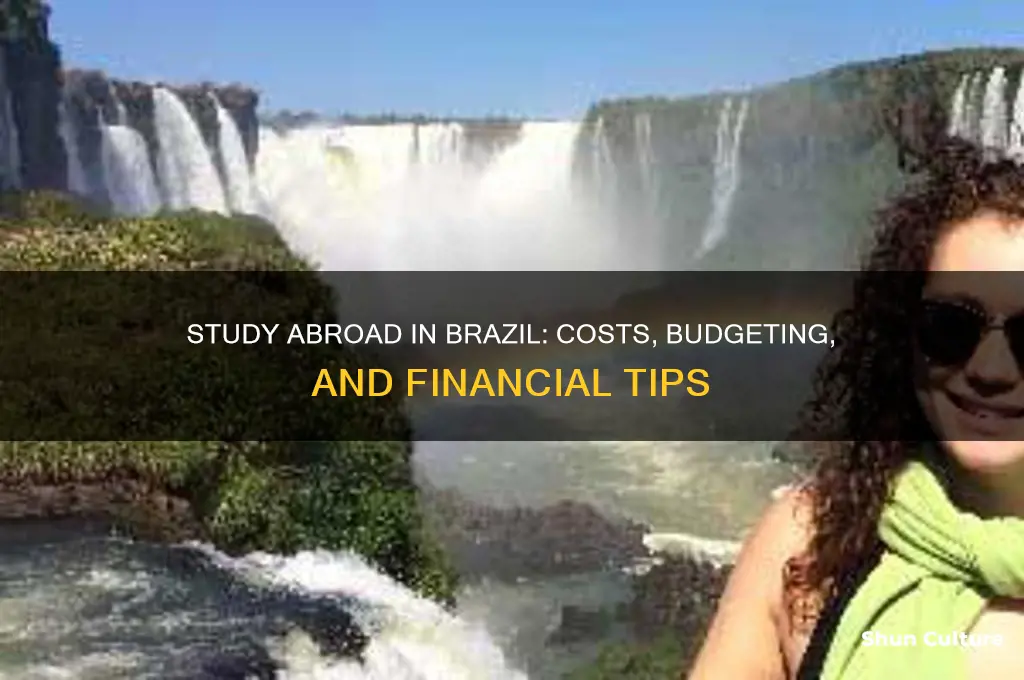 how much to study abroad in brazil