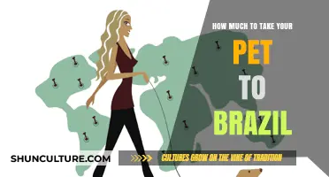 Pet Travel to Brazil: Costs and Requirements Explained