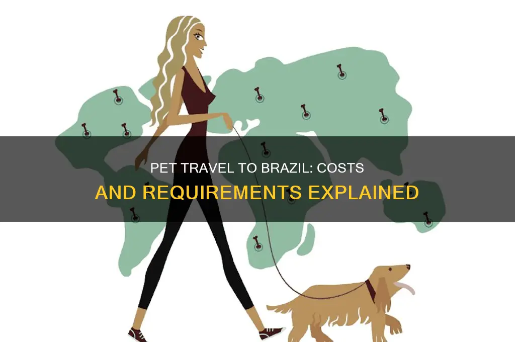 how much to take your pet to brazil