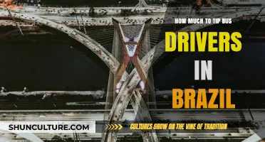 Tipping Bus Drivers in Brazil: A Guide to Local Etiquette