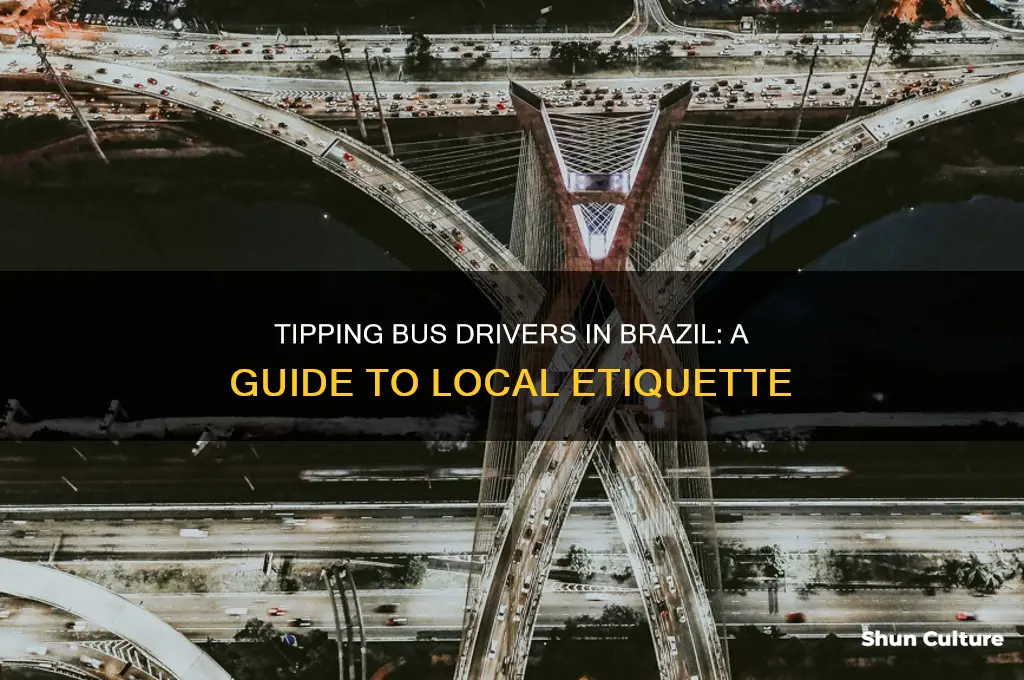 how much to tip bus drivers in brazil