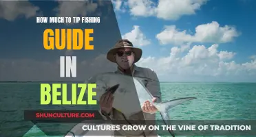 Belize Fishing Guide Tipping Etiquette: A Traveler's Guide