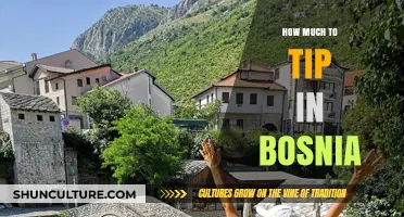 Tipping in Bosnia: A Guide to Gratuity Etiquette and Amounts