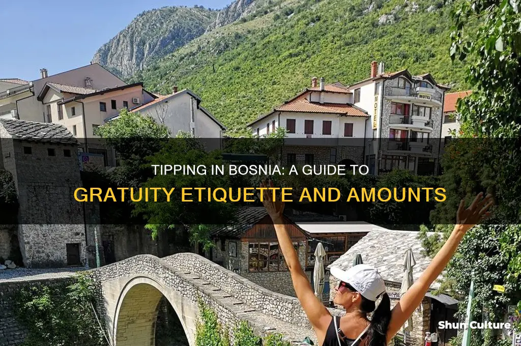 how much to tip in bosnia