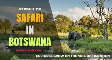 Tipping Guide for Botswana Safaris: Etiquette and Amounts to Tip