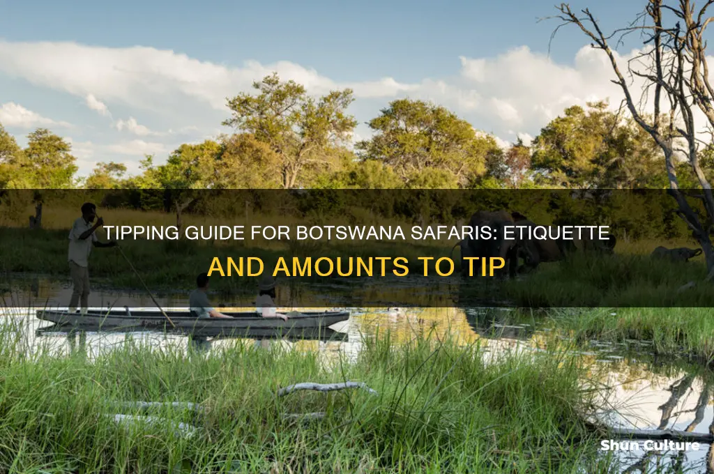 how much to tip on safari in botswana
