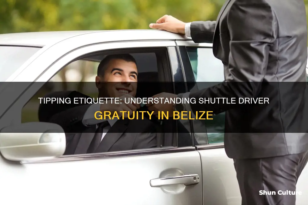 how much to tip shuttle driver belize