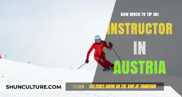 A Guide to Tipping Ski Instructors in Austria: Tips and Tricks