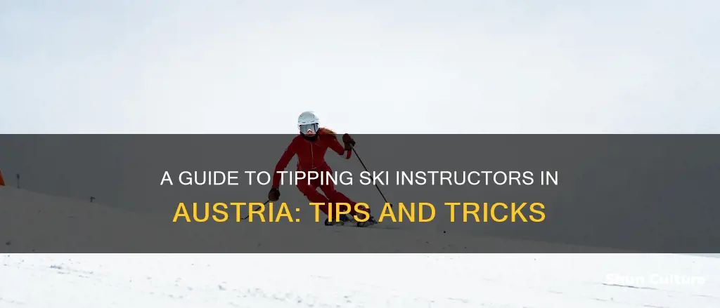 how much to tip ski instructor in austria