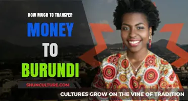 Cost-Effective Ways to Send Money to Burundi: A Comprehensive Guide