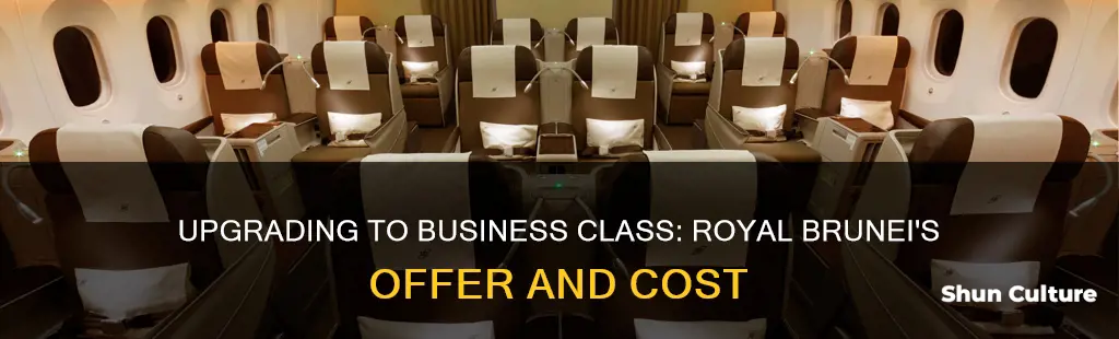 how much to upgrade to business class royal brunei