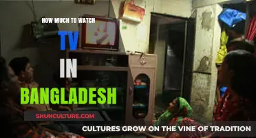 Exploring TV Viewing Habits and Costs in Bangladesh